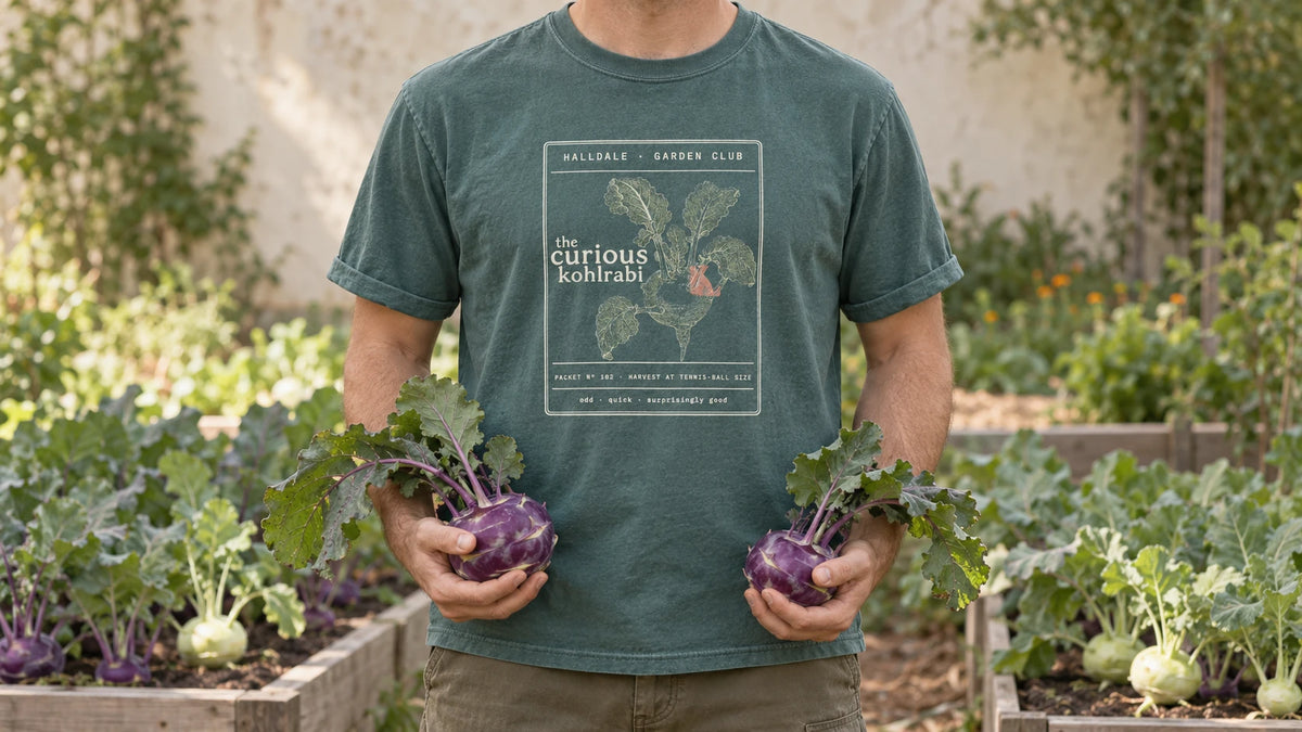 A man in the Blue Spruce Curious Kohlrabi tee stands by a raised bed of purple and pale green kohlrabi, holding a purple kohlrabi in each hand.