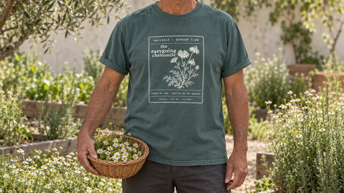 A man in the Blue Spruce Easygoing Chamomile tee stands by a sunny patch of chamomile with small white daisy flowers, holding a shallow wicker basket of chamomile flowers.