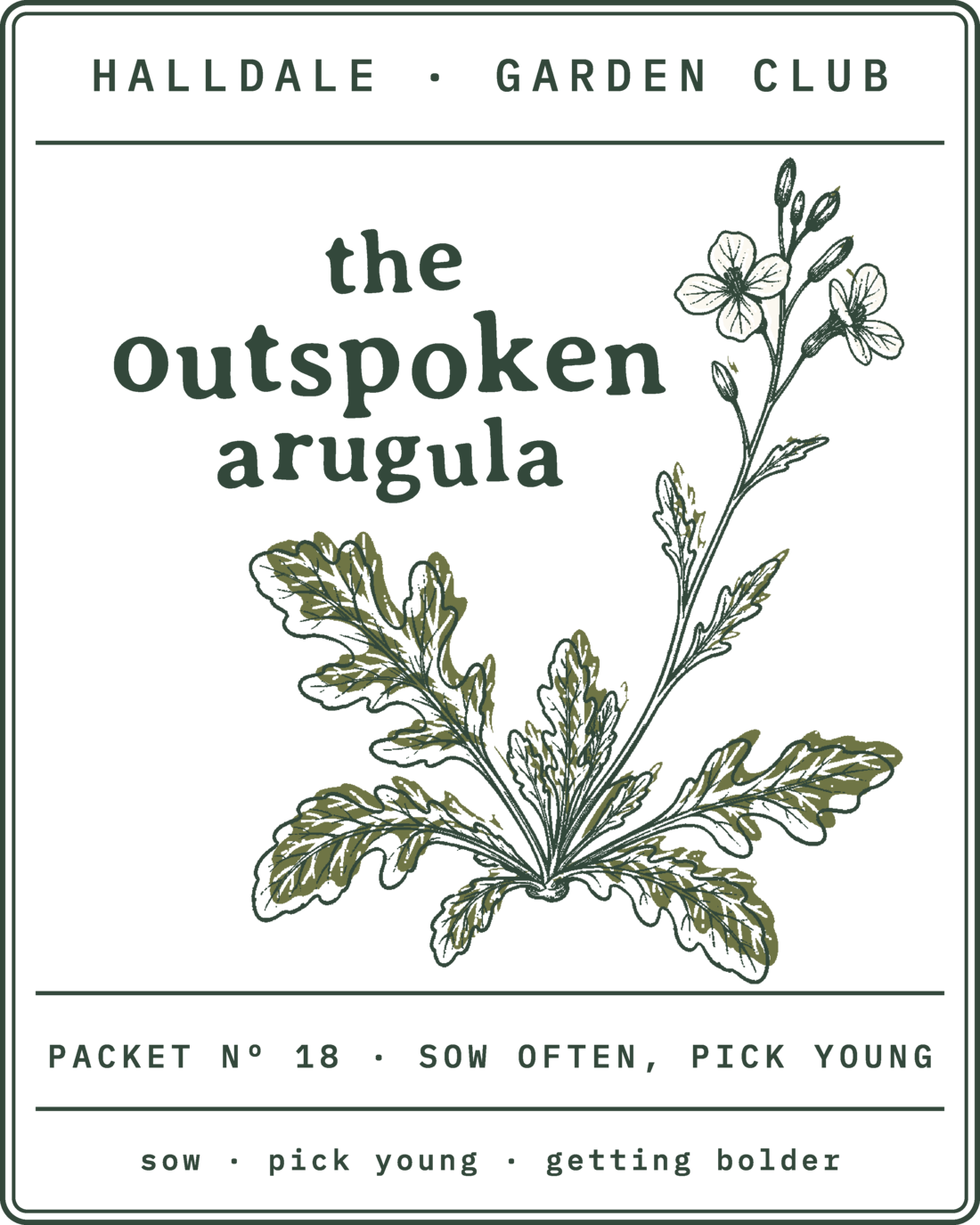 Seed packet Nº 18, The Outspoken Arugula, printed in Forest, Olive and Aged White