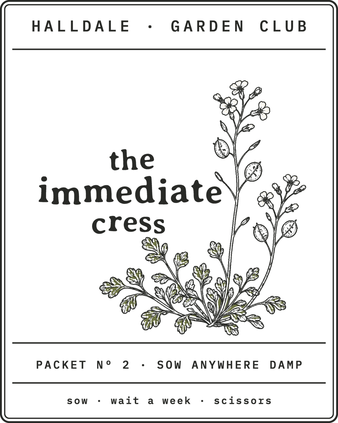Seed packet Nº 2, The Immediate Cress, printed in Charcoal, Olive and Aged White