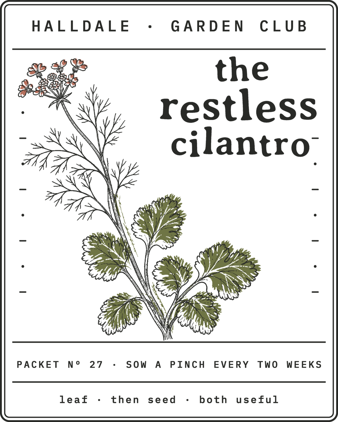 Seed packet Nº 27, The Restless Cilantro, printed in Charcoal, Olive and Clay