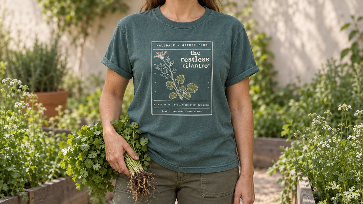 A woman in the Blue Spruce Restless Cilantro tee stands by an herb bed of cilantro with a few lacy white flowers, holding a bunch of fresh cilantro with roots.