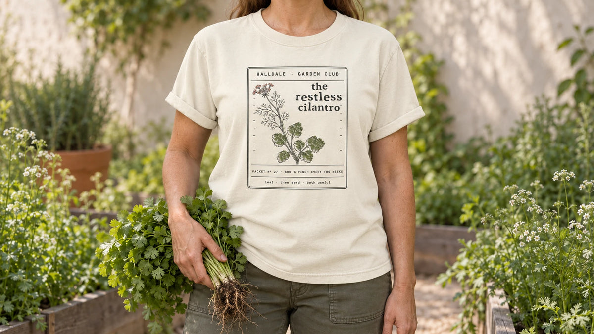 A woman in the Ivory Restless Cilantro tee stands by an herb bed of cilantro with a few lacy white flowers, holding a bunch of fresh cilantro with roots.