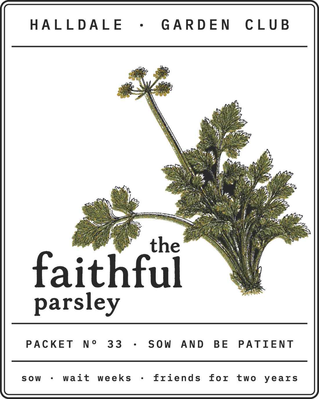 Seed packet Nº 33, The Faithful Parsley, printed in Charcoal, Olive and Mustard