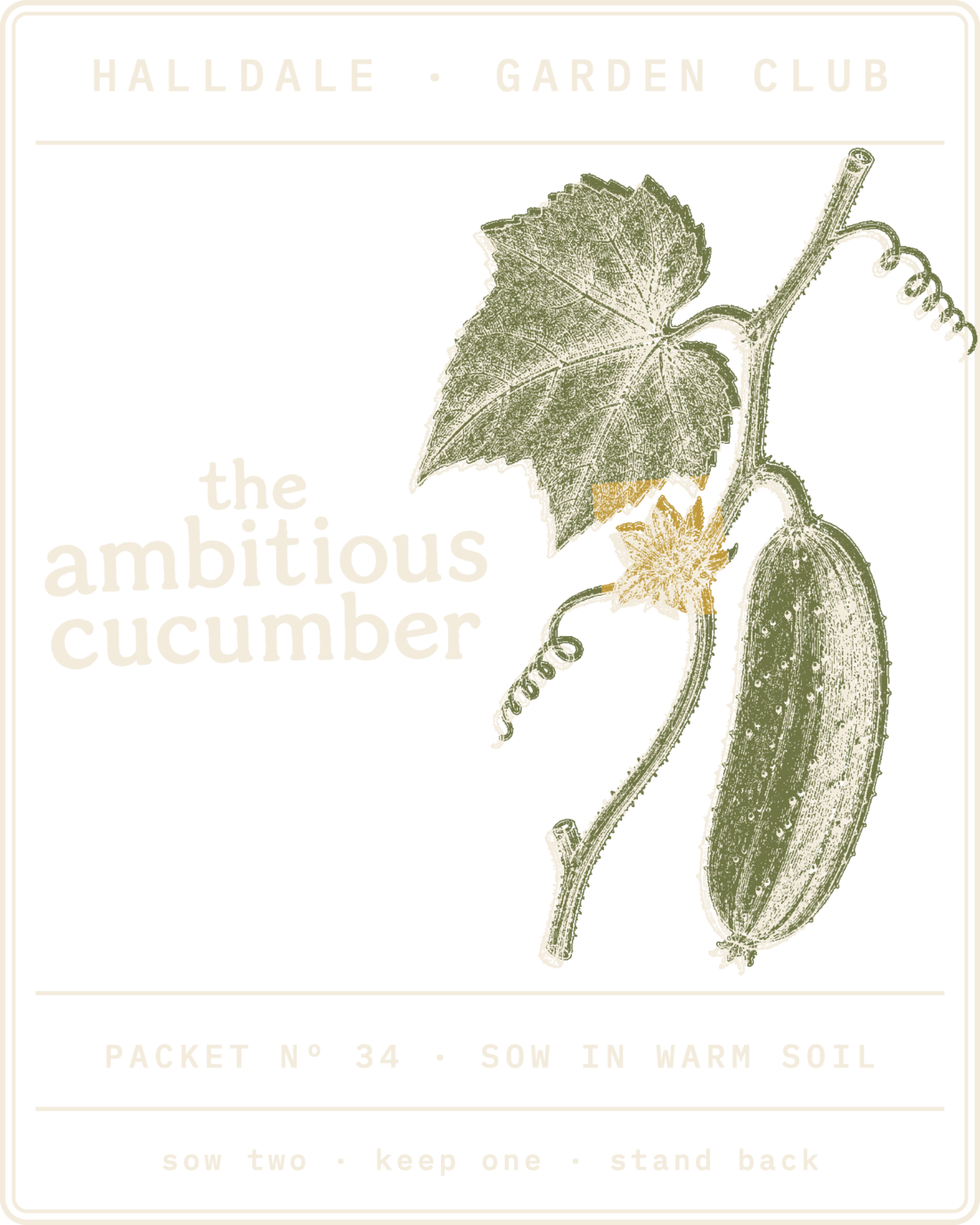 Seed packet Nº 34, The Ambitious Cucumber, printed in Paper, Olive and Mustard