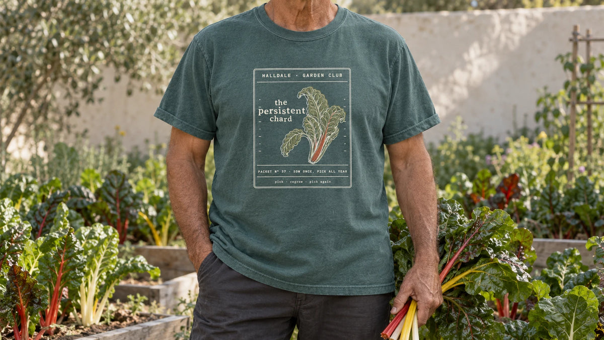 A man in the Blue Spruce Persistent Chard tee stands by a bed of rainbow chard with red, yellow and white stems, holding a bunch of rainbow chard with bright stems.