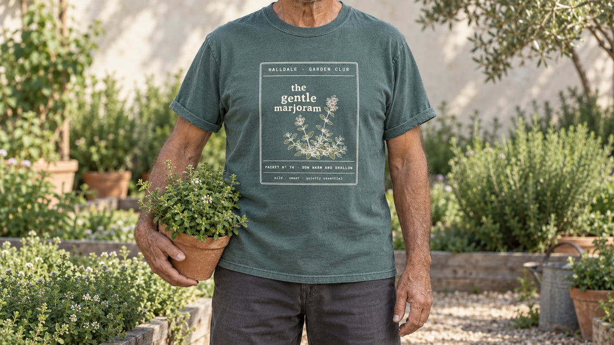 A man in the Blue Spruce Gentle Marjoram tee stands by a sunny herb bed with low mounds of marjoram, holding a terracotta pot of marjoram.