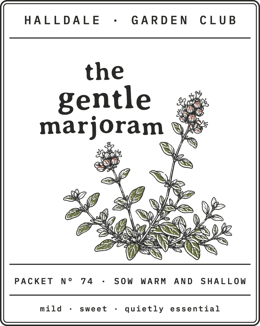 Seed packet Nº 74, The Gentle Marjoram, printed in Charcoal, Olive and Clay