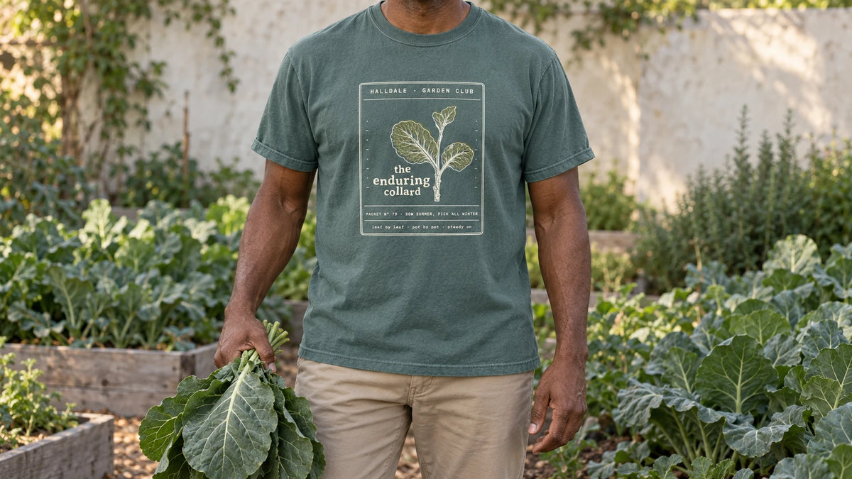 A man in the Blue Spruce Enduring Collard tee stands by a winter bed of tall collard greens, holding a bunch of broad collard green leaves.
