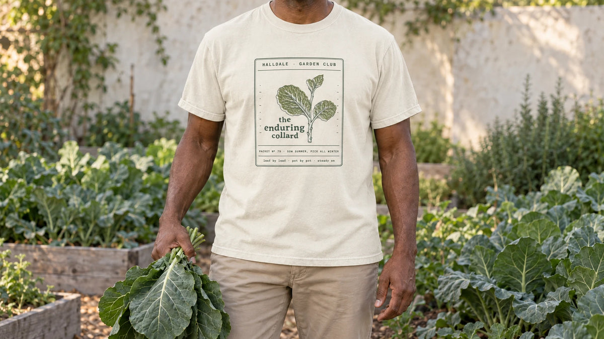 A man in the Ivory Enduring Collard tee stands by a winter bed of tall collard greens, holding a bunch of broad collard green leaves.