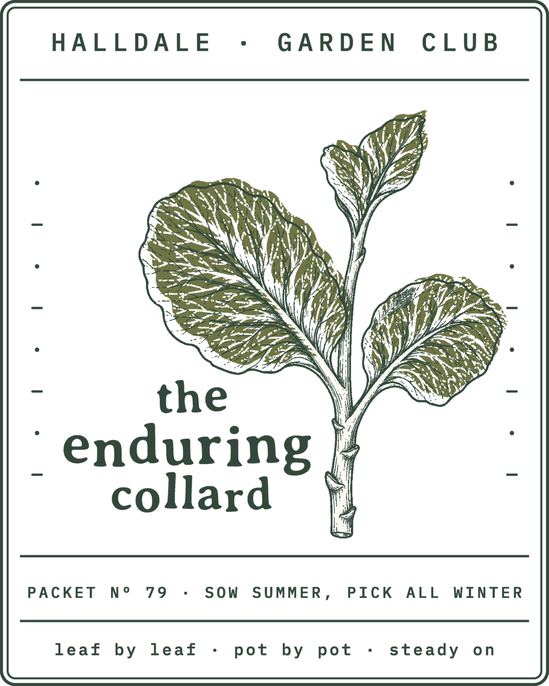 Seed packet Nº 79, The Enduring Collard, printed in Forest, Olive and Aged White